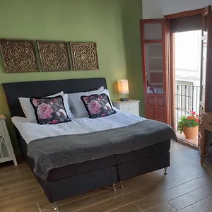 Bed & Breakfast Olive Tree, Olvera